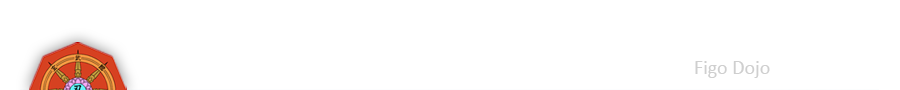 Genbukan Martial Arts Figo Dojo Drogheda